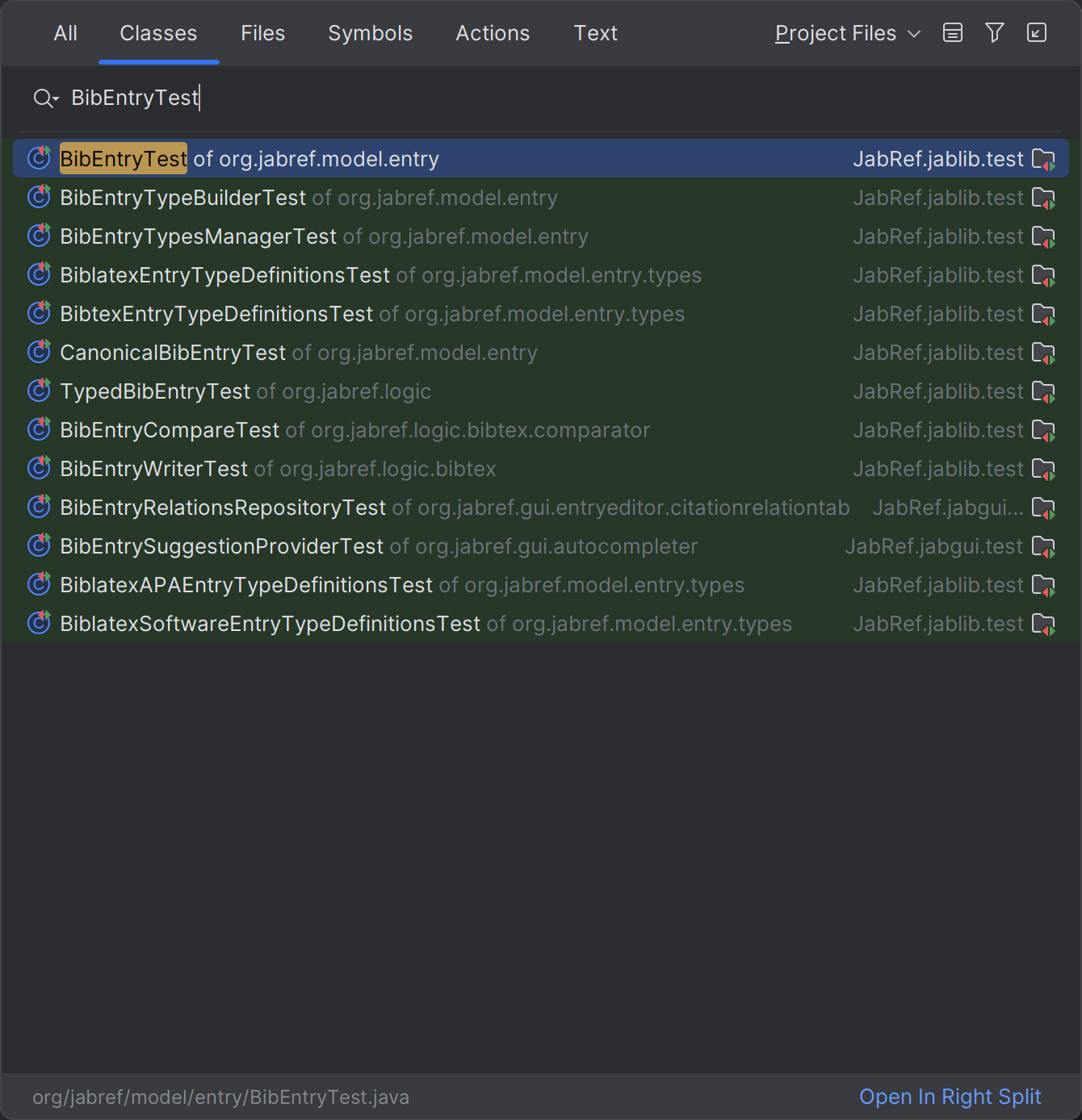 IntelliJ search for class "BibEntryTest"